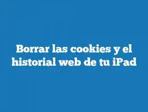 Borrar las cookies y el historial web de tu iPad