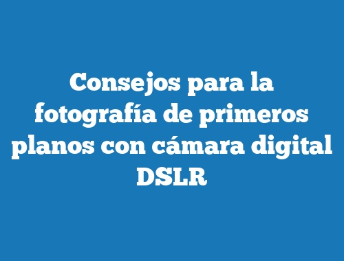 Consejos para la fotografía de primeros planos con cámara digital DSLR