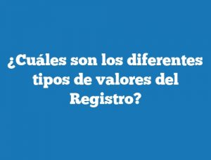 ¿Cuáles son los diferentes tipos de valores del Registro?