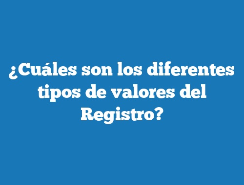 ¿Cuáles son los diferentes tipos de valores del Registro?