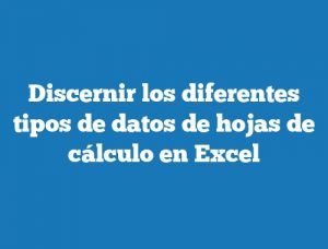 Discernir los diferentes tipos de datos de hojas de cálculo en Excel
