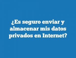 ¿Es seguro enviar y almacenar mis datos privados en Internet?