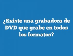 ¿Existe una grabadora de DVD que grabe en todos los formatos?