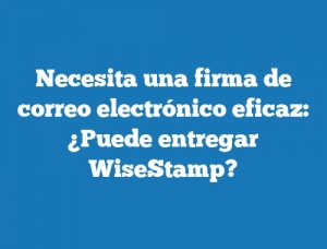 Necesita una firma de correo electrónico eficaz: ¿Puede entregar WiseStamp?