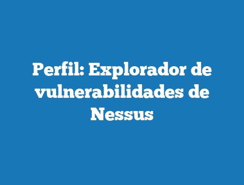 Perfil: Explorador de vulnerabilidades de Nessus