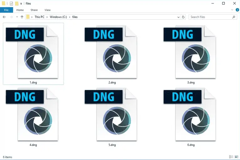 Qué es un archivo DNG y cómo se abre uno
