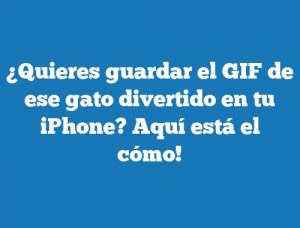 ¿Quieres guardar el GIF de ese gato divertido en tu iPhone? Aquí está el cómo!