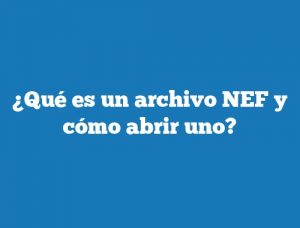 ¿Qué es un archivo NEF y cómo abrir uno?