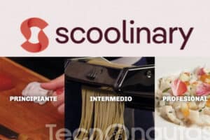 scoolinary
